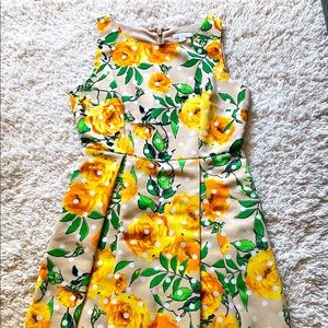 New York and company dress size 6 floral